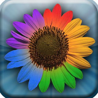 Picasa Photo Viewer