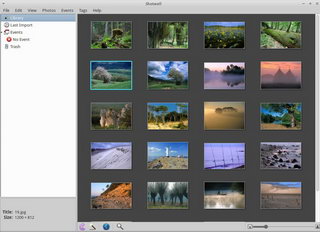Shotwell For Linux