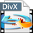 4Easysoft Blu-ray to DivX Ripper(Ƶת)