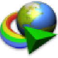 Internet Download Manager(IDM)