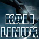 kali linuxϵͳ