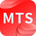 TS-MTSֽṹ㹤 V2019