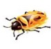 Firebug(firefox)