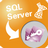 MsSqlToAccess(MSSQLתAccess)