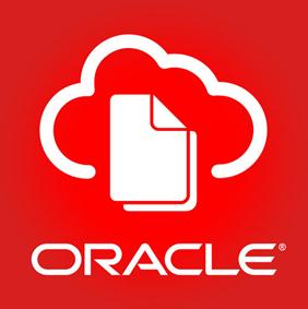 oracle 10gװ