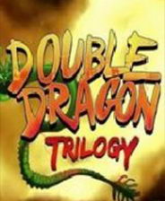 ˫Double Dragon