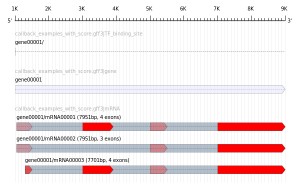 mod2doctest