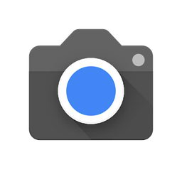 2024google(camera)