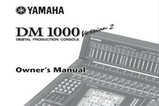 DM1000 Version 2˵