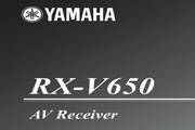 RX-V650˵