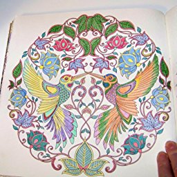 Coloring Book 12: Things that Fly