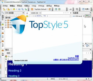 TopStyle Pro(CSS)