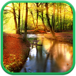 Falling Autumn Leaves Screen Saver