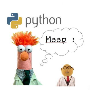 python-meep