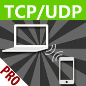 TCP/UDP Թ