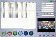 Tinysoar dvd to 3gp converter