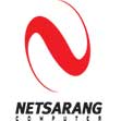 NetSarang