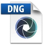 dngʽת(adobe