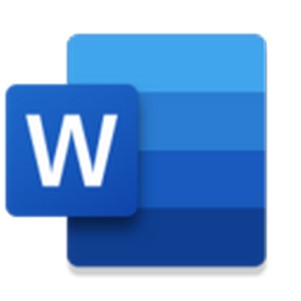 ΢microsoft word app