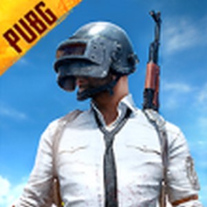 pubgʷ