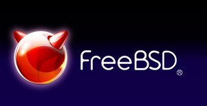 FreeBSD(UNIXϵͳ)