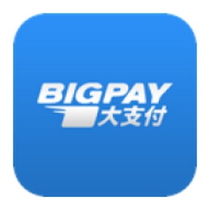 ֧(BigPay)