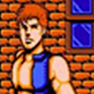 ˫3(double dragon 3 the roset)