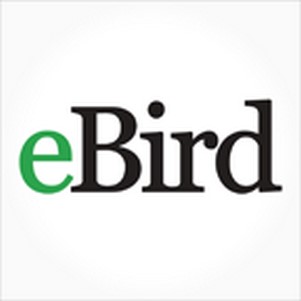 eBird(ȫֲ)