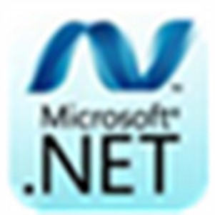 .net framework 5.0