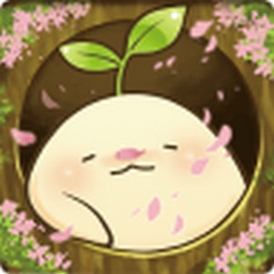 (mandora)