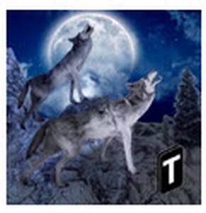 ŭģ޽޸İ(Angry Wolf Simulator 3D)