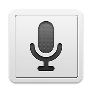 ȸ(Voice Search)