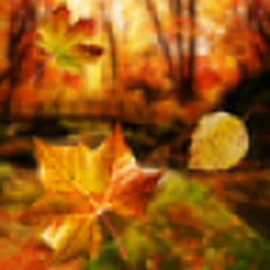 ɫ춯ֽ̬ͻ(Autumn Live Wallpaper)