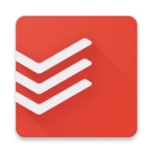 ճֻ(Todoist)