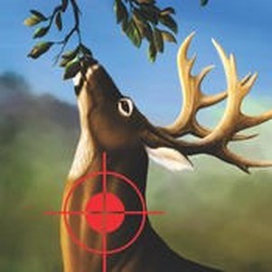 ¹Ϸ(Deer Hunting in Jungle)