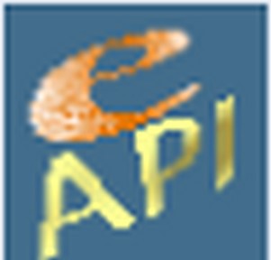 API