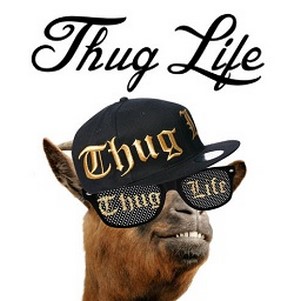 īӵpͼ(Thug life photo sticker maker)