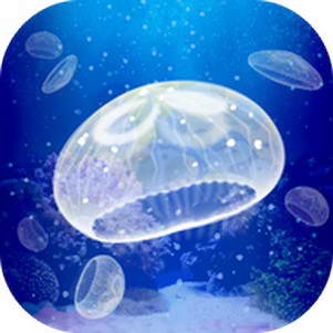 ˮĸ(Jellyfish)