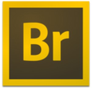 adobe bridge cc 2019ʽ