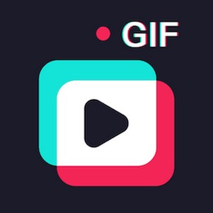 gifͼʦapp