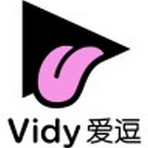 vidy뷨