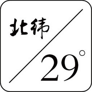 γ29