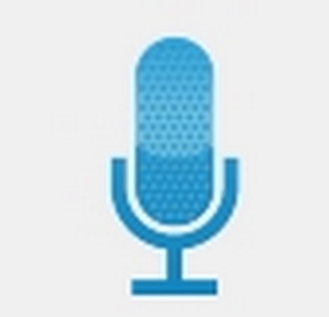 voice pro޸İ