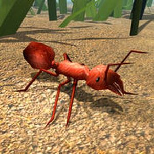 ģ°(Fire Ant)