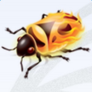 firebug lite for google chrome(ȸ)