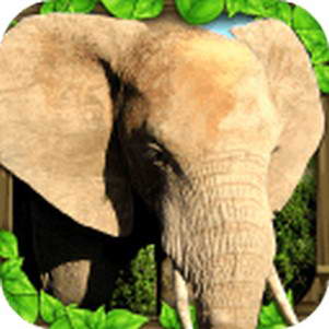 ģ޾(Elephant Sim)