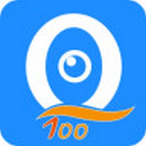 q100