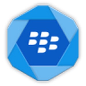 ݮblackberry hub+