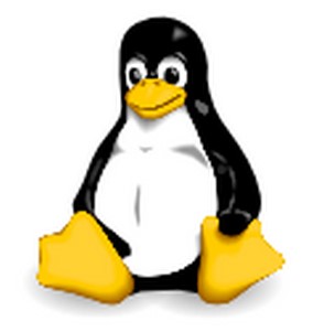 linuxں°汾