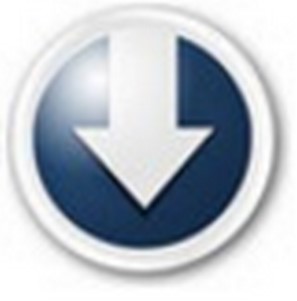 Orbit Downloader޸İ